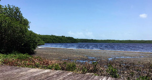 Laguna Piñones. (Foto/ COPI)